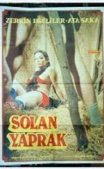 Solan Yaprak Yerli Erotik Film izle